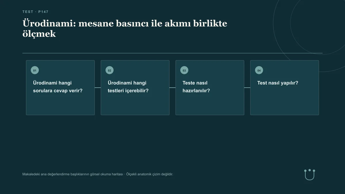 Ürodinami: mesane basıncı ile akımı birlikte ölçmek için makalenin ana değerlendirme başlıklarını gösteren görsel okuma haritası.