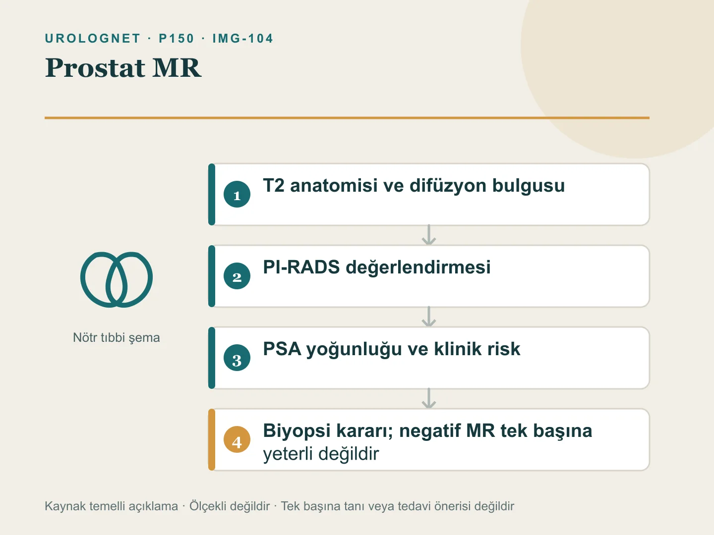 Prostat MR bulgularının PI-RADS, PSA yoğunluğu ve klinik riskle birlikte biyopsi kararına bağlanmasını gösteren şema.