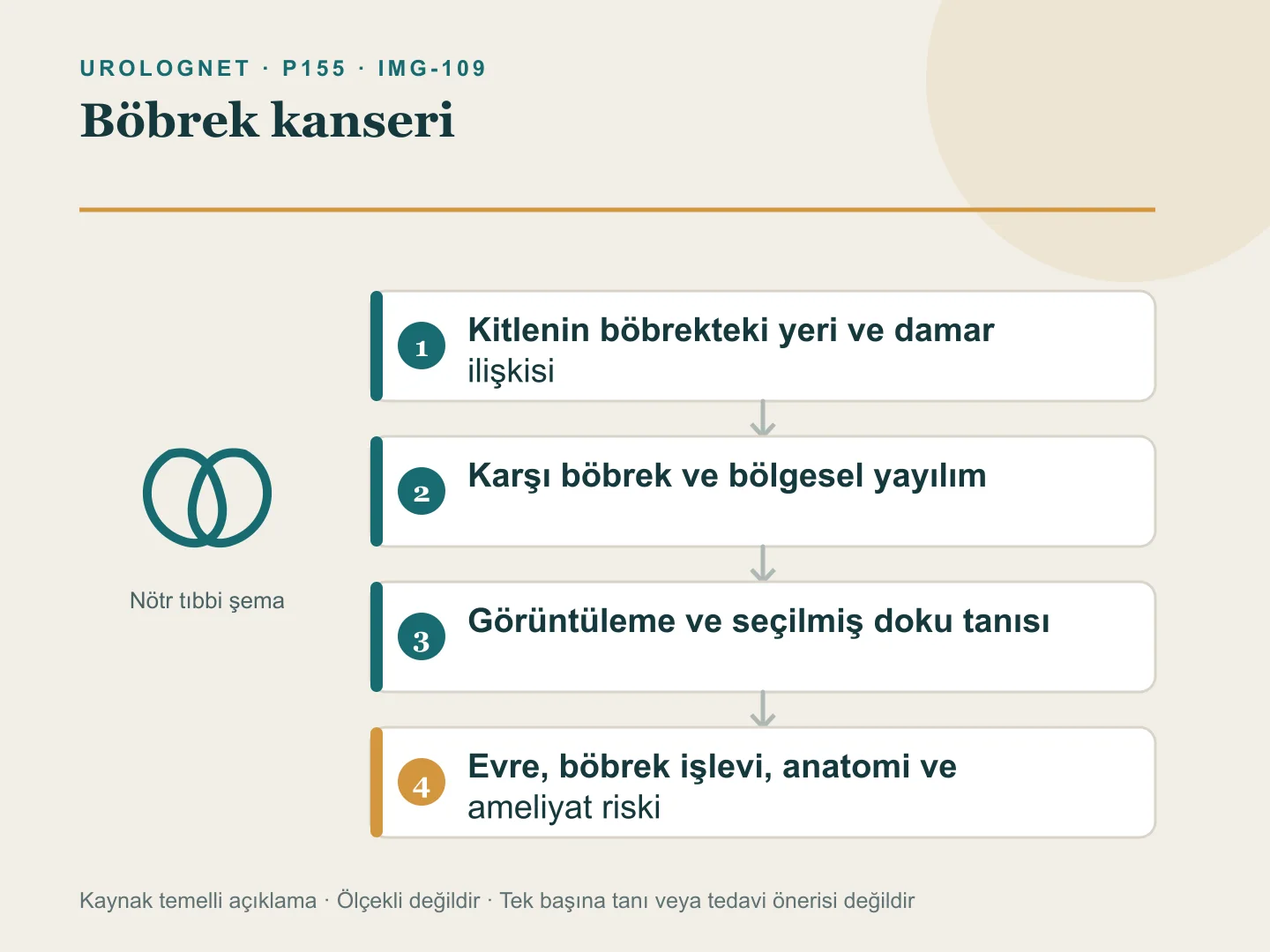 Böbrek kitlesinde görüntüleme, doku tanısı, böbrek fonksiyonu ve tümör anatomisinin tedavi kararında birlikte değerlendirilmesini gösteren şema.