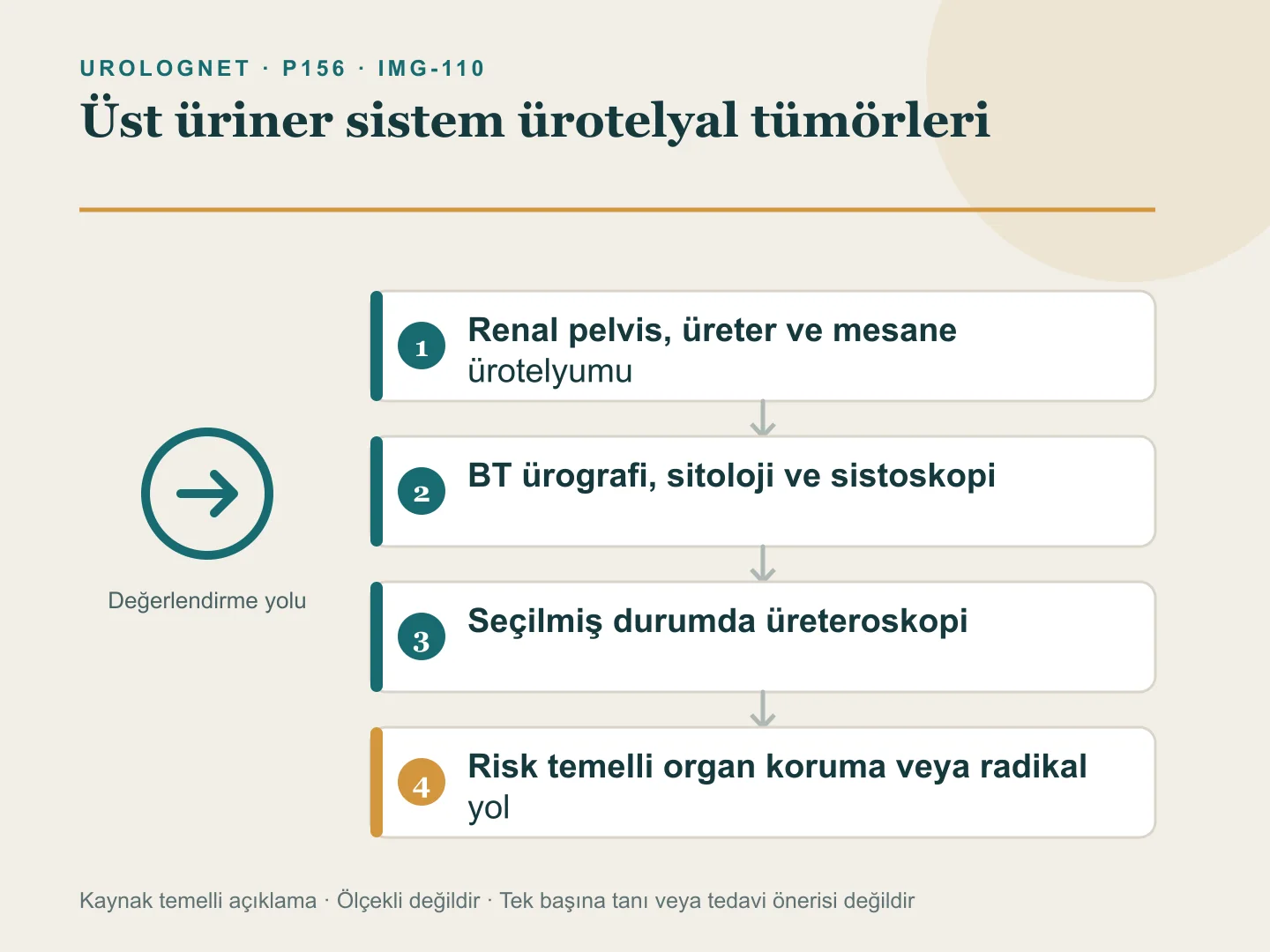Renal pelvis ve üreterdeki ürotelyal tümörlerde tanı araçlarını ve risk sınıfına göre böbrek koruyucu ya da radikal tedavi yolunu gösteren şema.