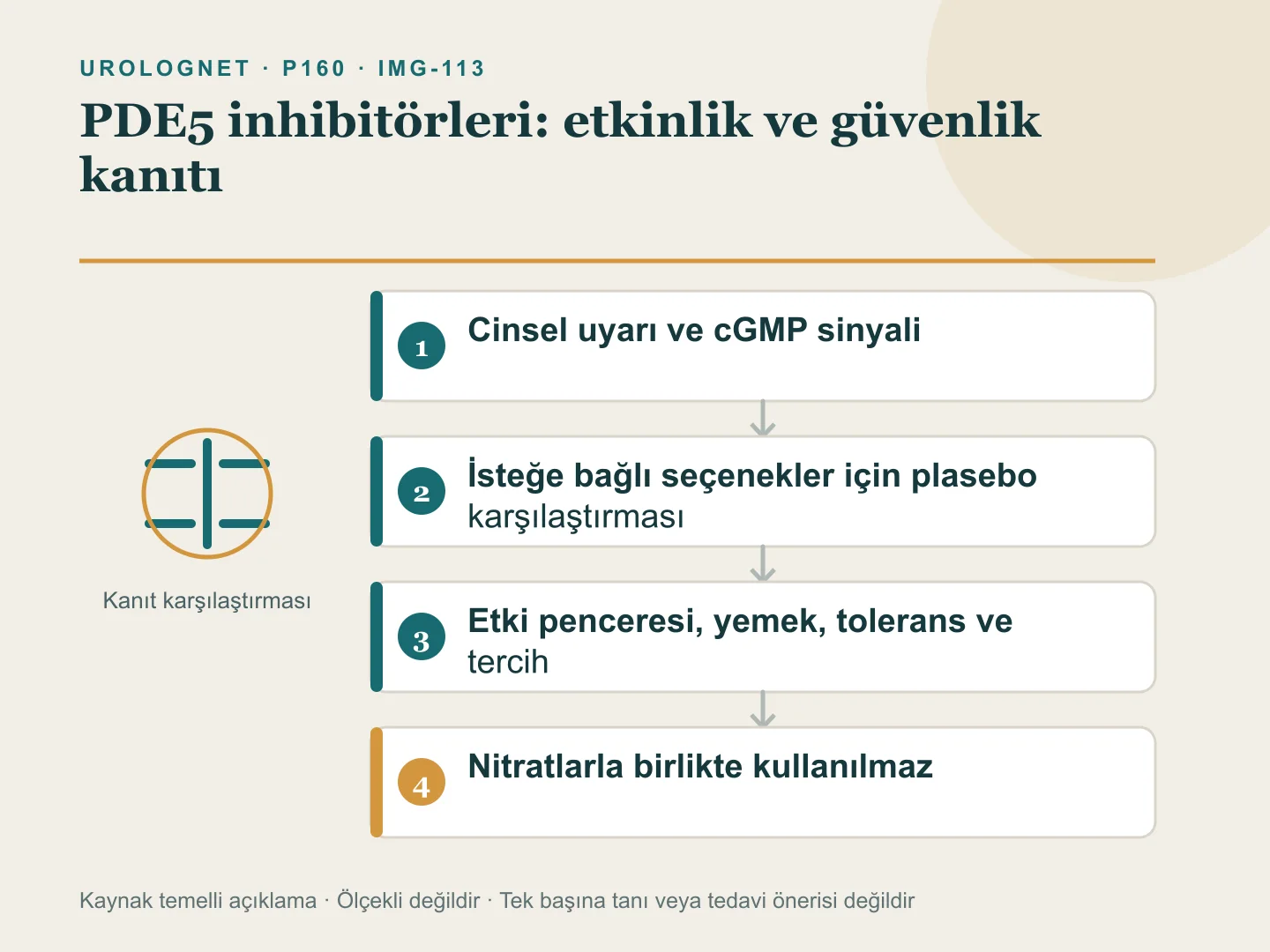 PDE5 inhibitörlerinin cinsel uyarıyla çalışan ortak mekanizmasını, plaseboya karşı etkinlik kanıtını, ilaç seçimindeki kullanım farklarını ve nitratlarla kesin etkileşimini gösteren şema.