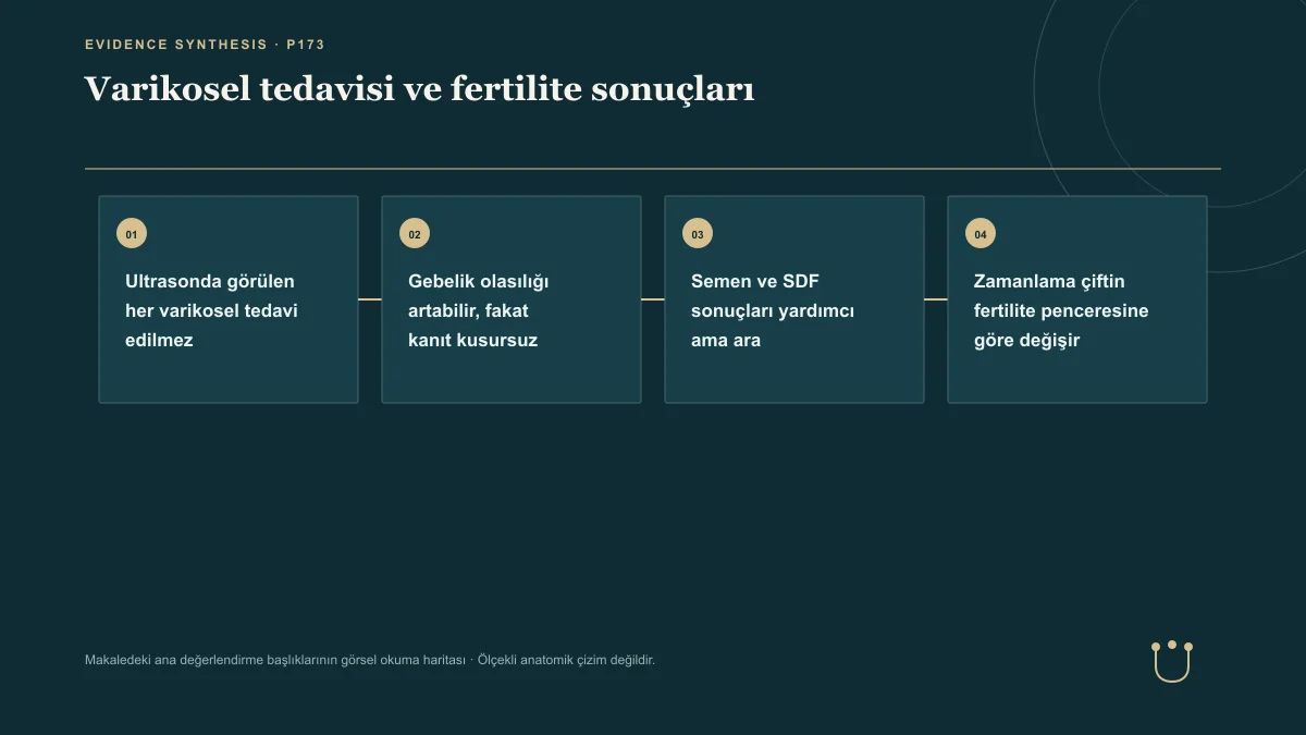 Varikosel tedavisi ve fertilite sonuçları için makalenin ana değerlendirme başlıklarını gösteren görsel okuma haritası.
