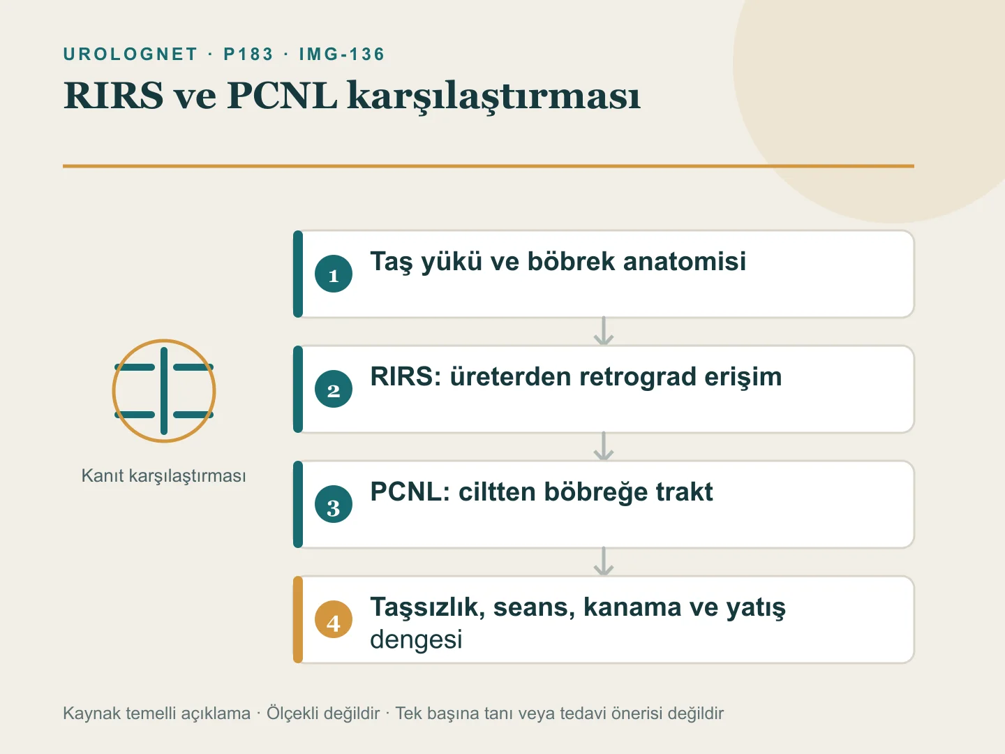 RIRS ile PCNL işlemlerinin böbreğe farklı erişim yollarını; taş yüküne göre taşsızlık, seans sayısı, kanama ve hastanede kalış farklarıyla gösteren şema.