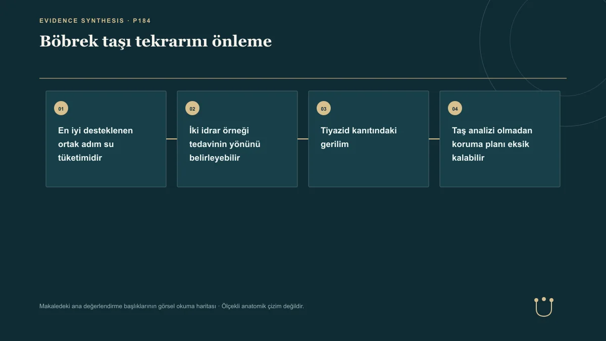 Böbrek taşı tekrarını önleme için makalenin ana değerlendirme başlıklarını gösteren görsel okuma haritası.