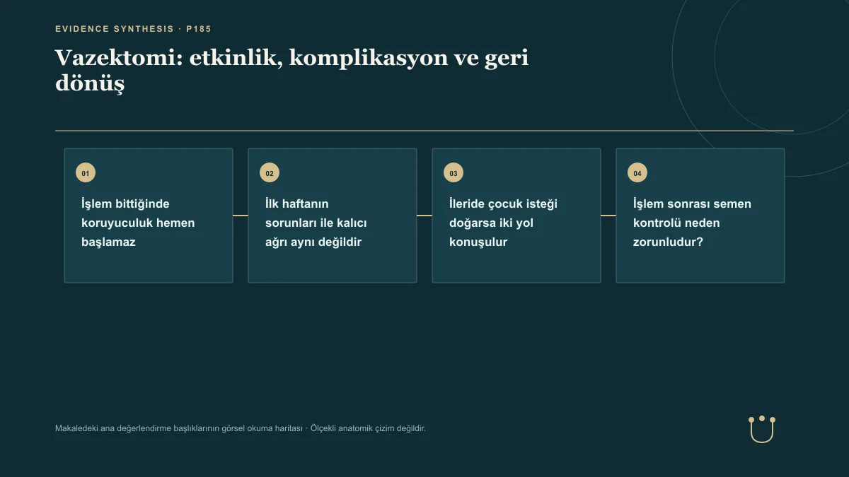 Vazektomi: etkinlik, komplikasyon ve geri dönüş için makalenin ana değerlendirme başlıklarını gösteren görsel okuma haritası.